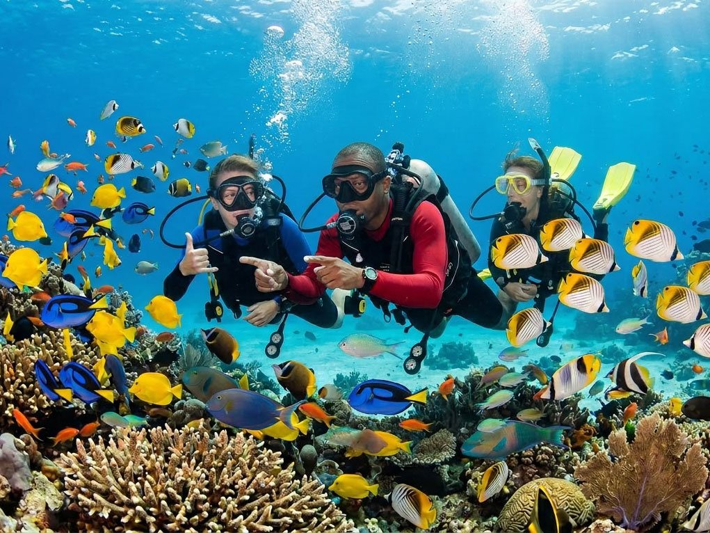 diving samui