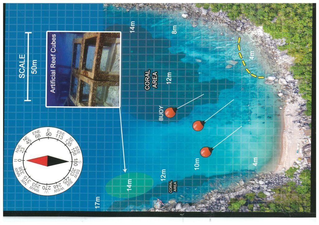 mango bay